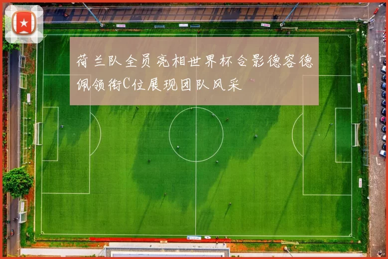 荷兰队全员亮相世界杯合影德容德佩领衔C位展现团队风采